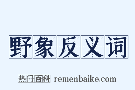 野象反义词是什么意思的图片